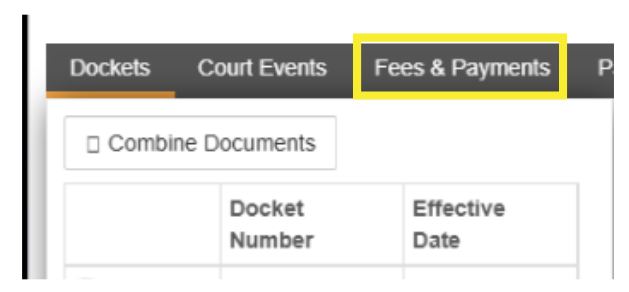 Fees and Payment Tab