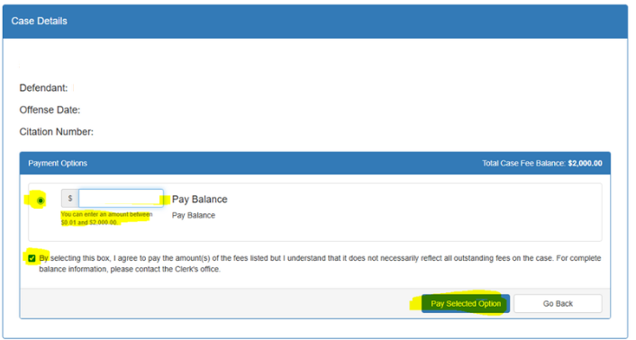 White web page with field to input payment amount.